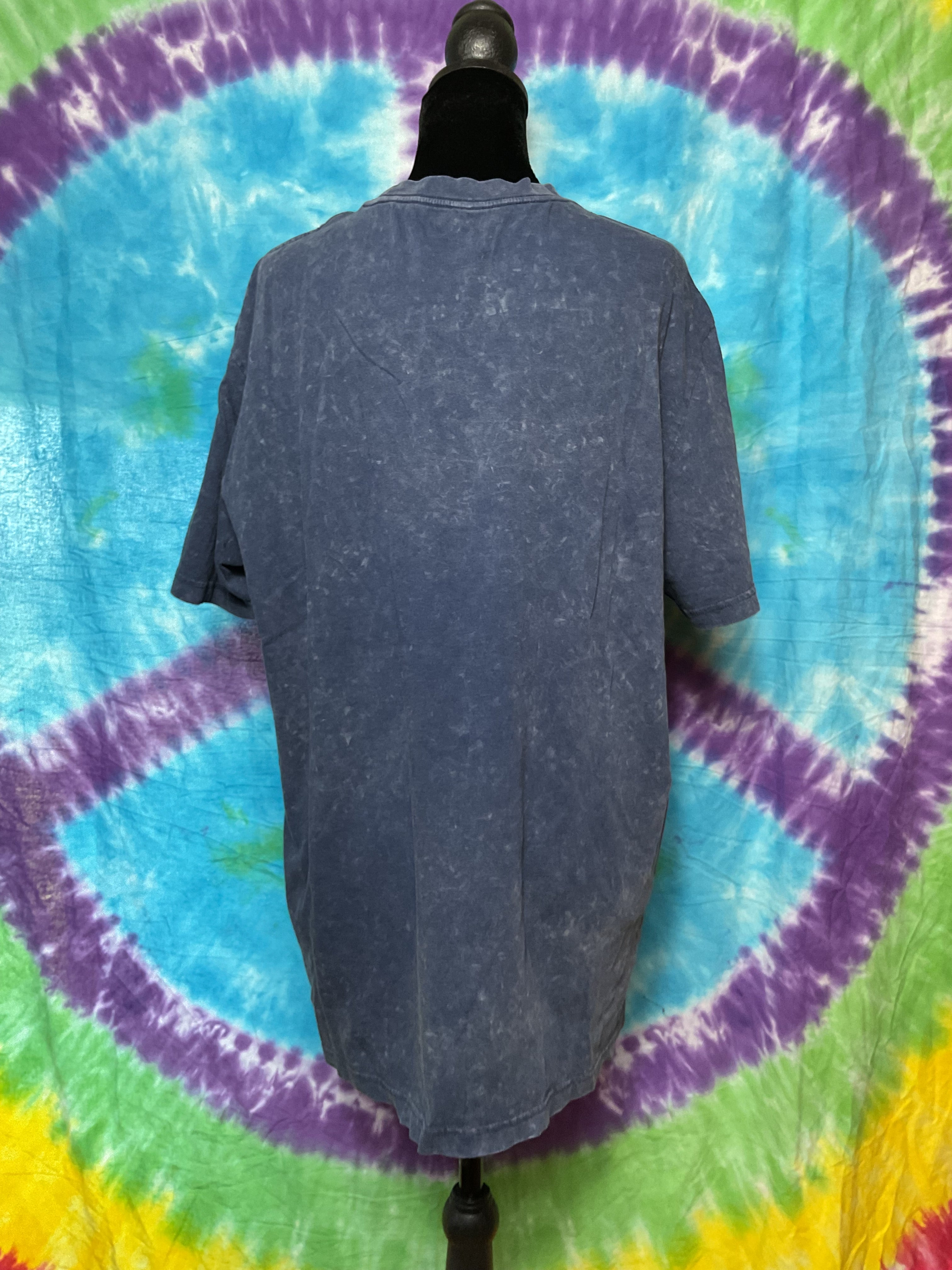 Grateful Dead American Eagle 1977 Tour Graphic Tee Large