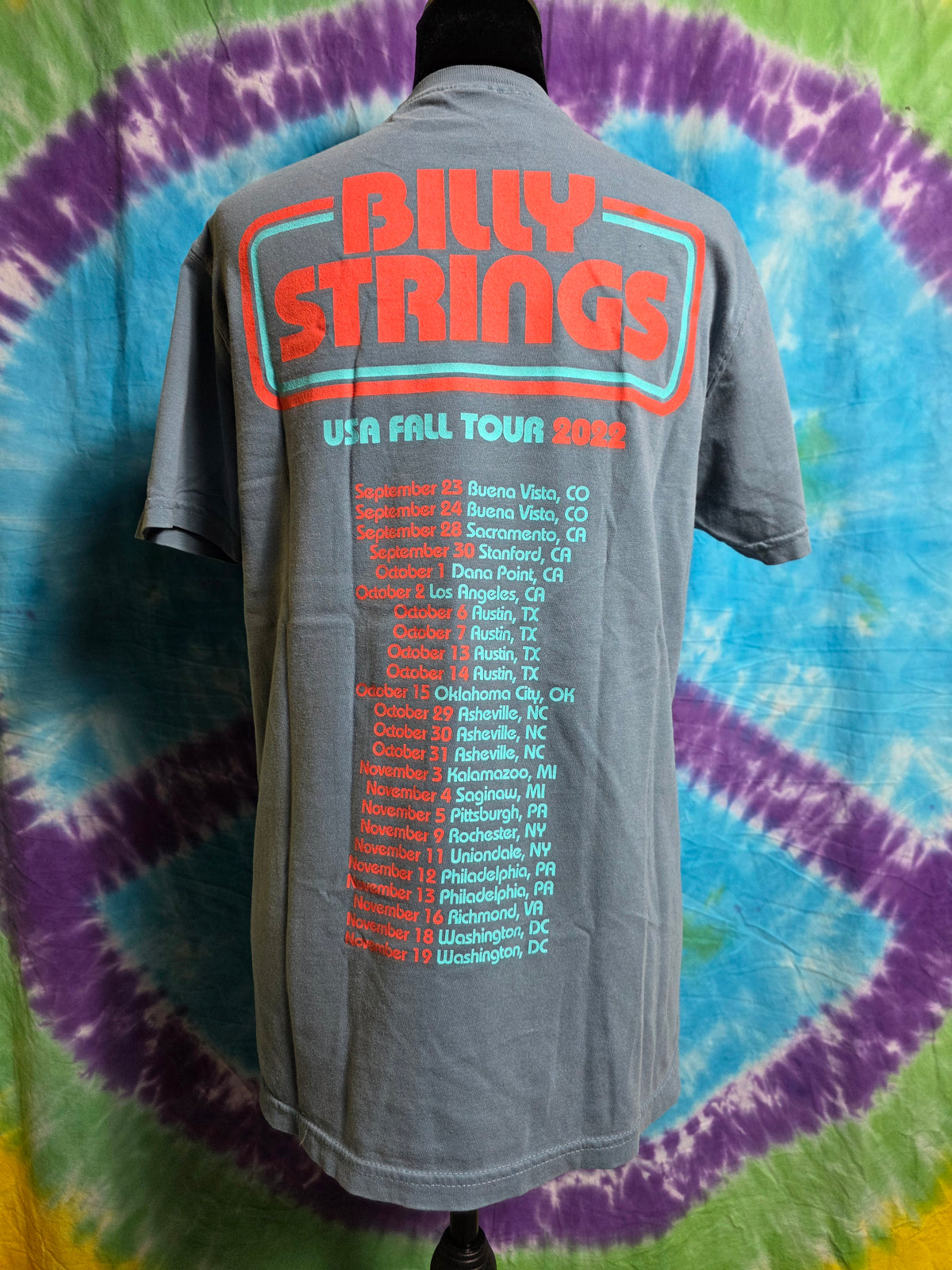 Billy Strings Concert T-Shirt USA Fall Tour 2022 Blue Small