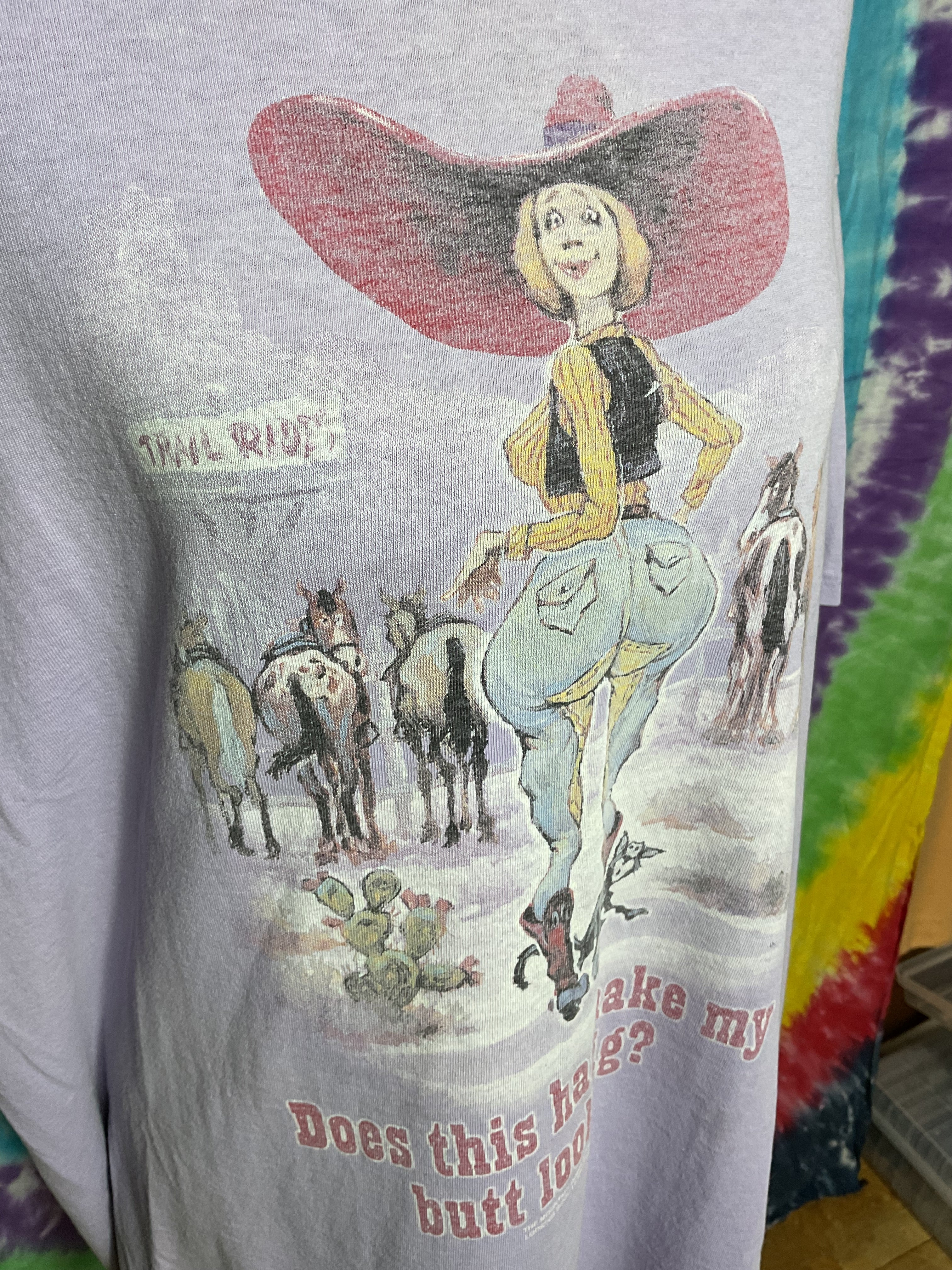 Vintage 2001 The Mountain Cowgirl T-Shirt Funny Humor Lilac L