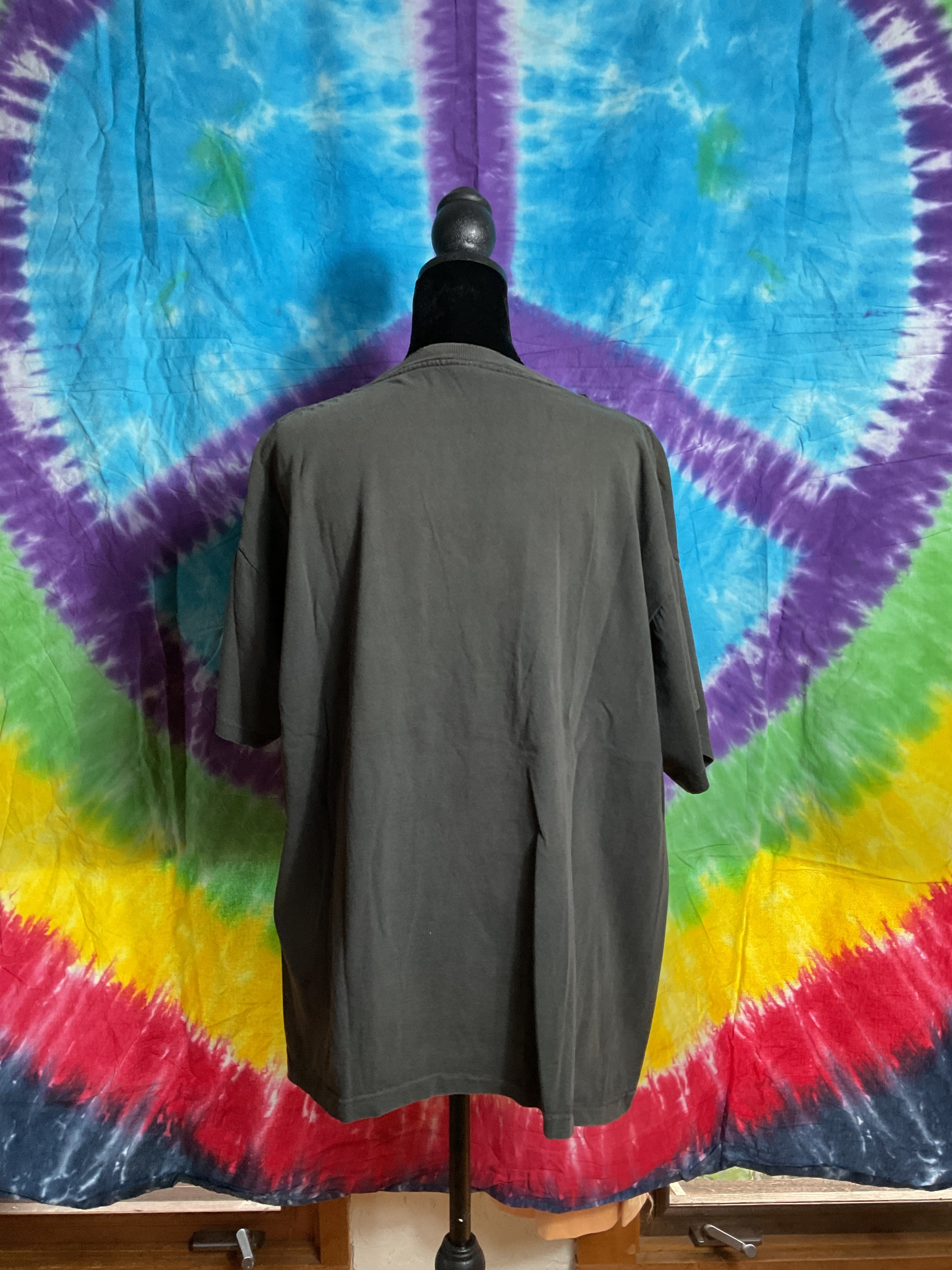 VTG Charlotte Hornets NBA T-Shirt Single Stitch XL