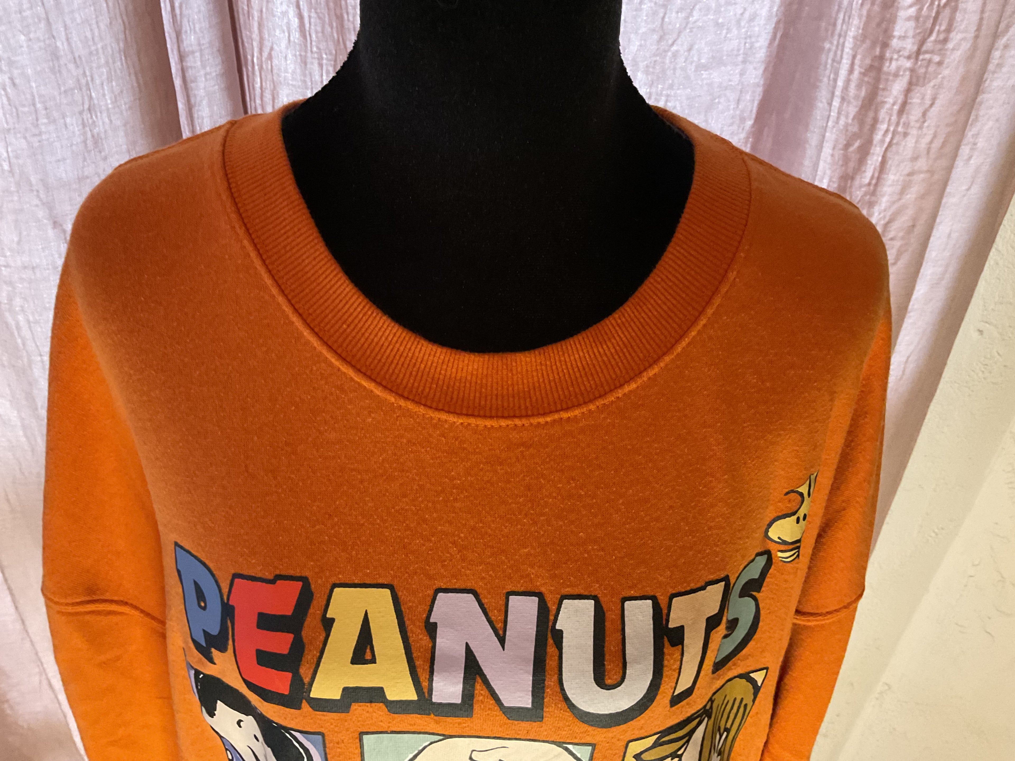 Peanuts Gang Character Graphic Crewneck - Orange 2X