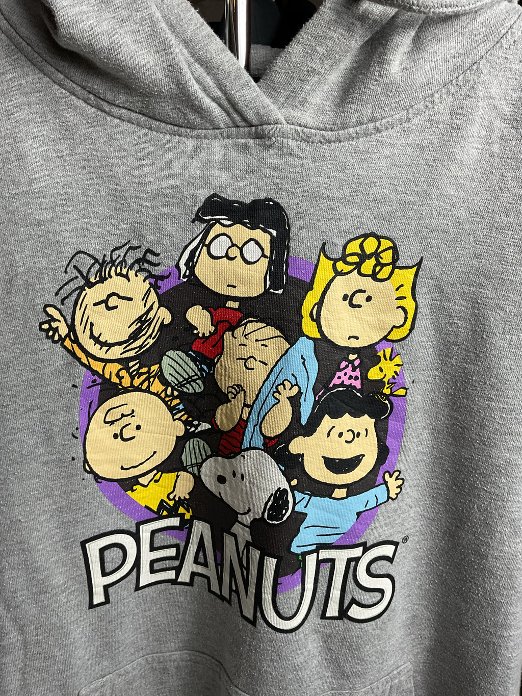 Peanuts Gang Hoodie Gray Small Charlie Brown Snoopy