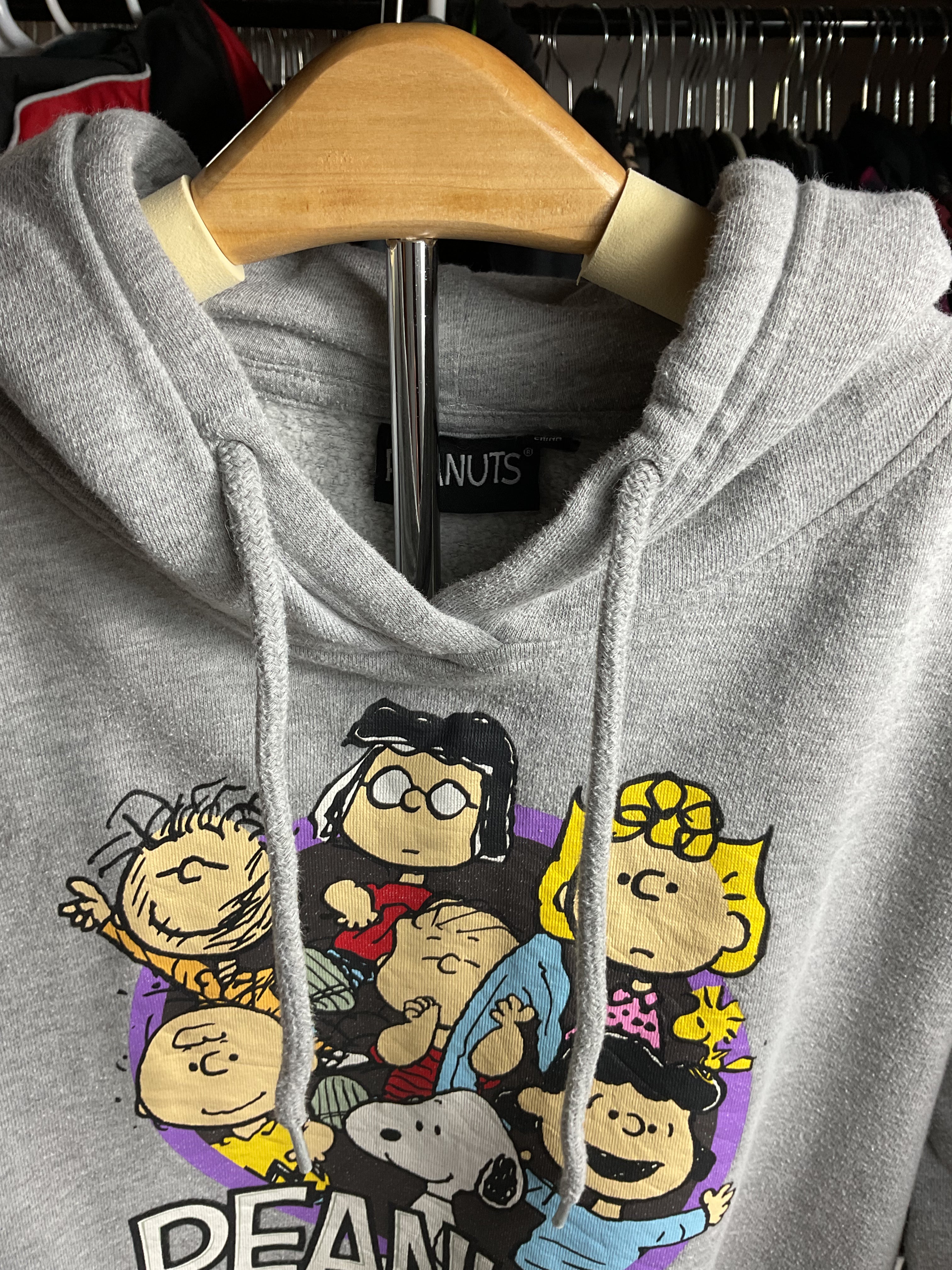 Peanuts Gang Hoodie Gray Small Charlie Brown Snoopy