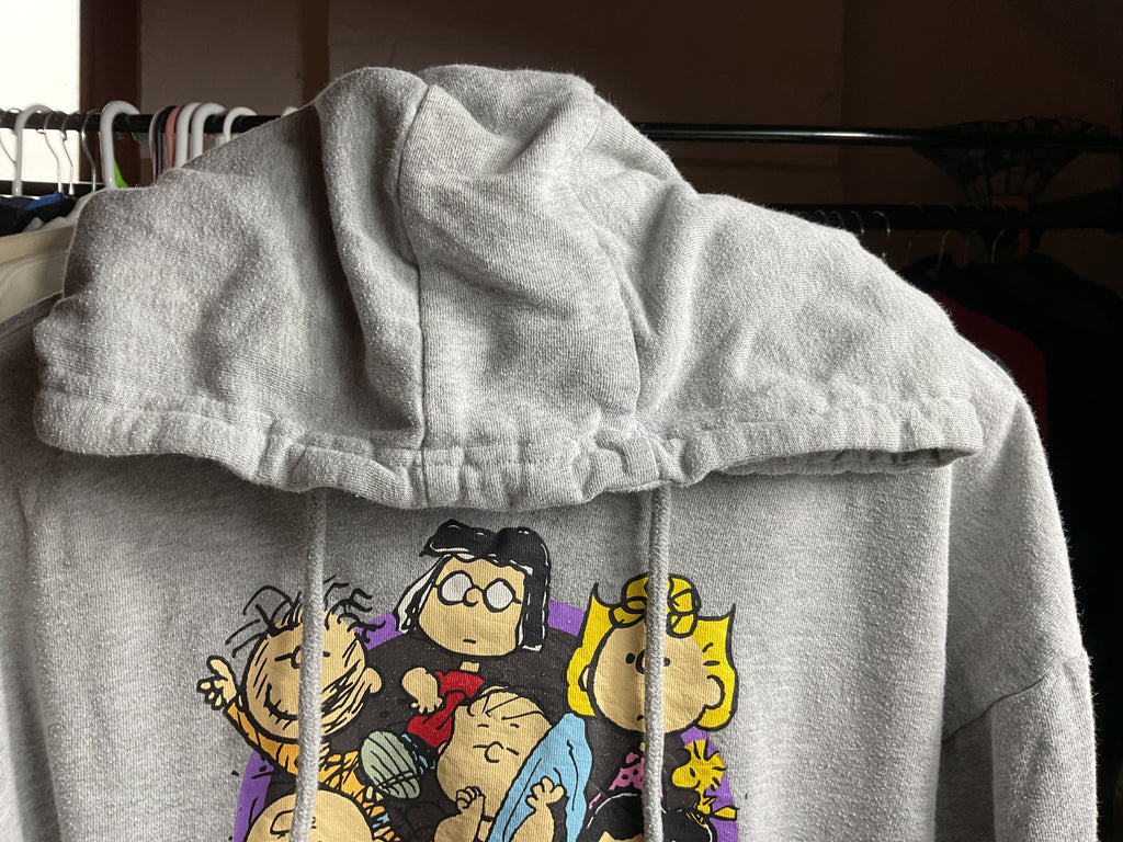 Peanuts Gang Hoodie Gray Small Charlie Brown Snoopy