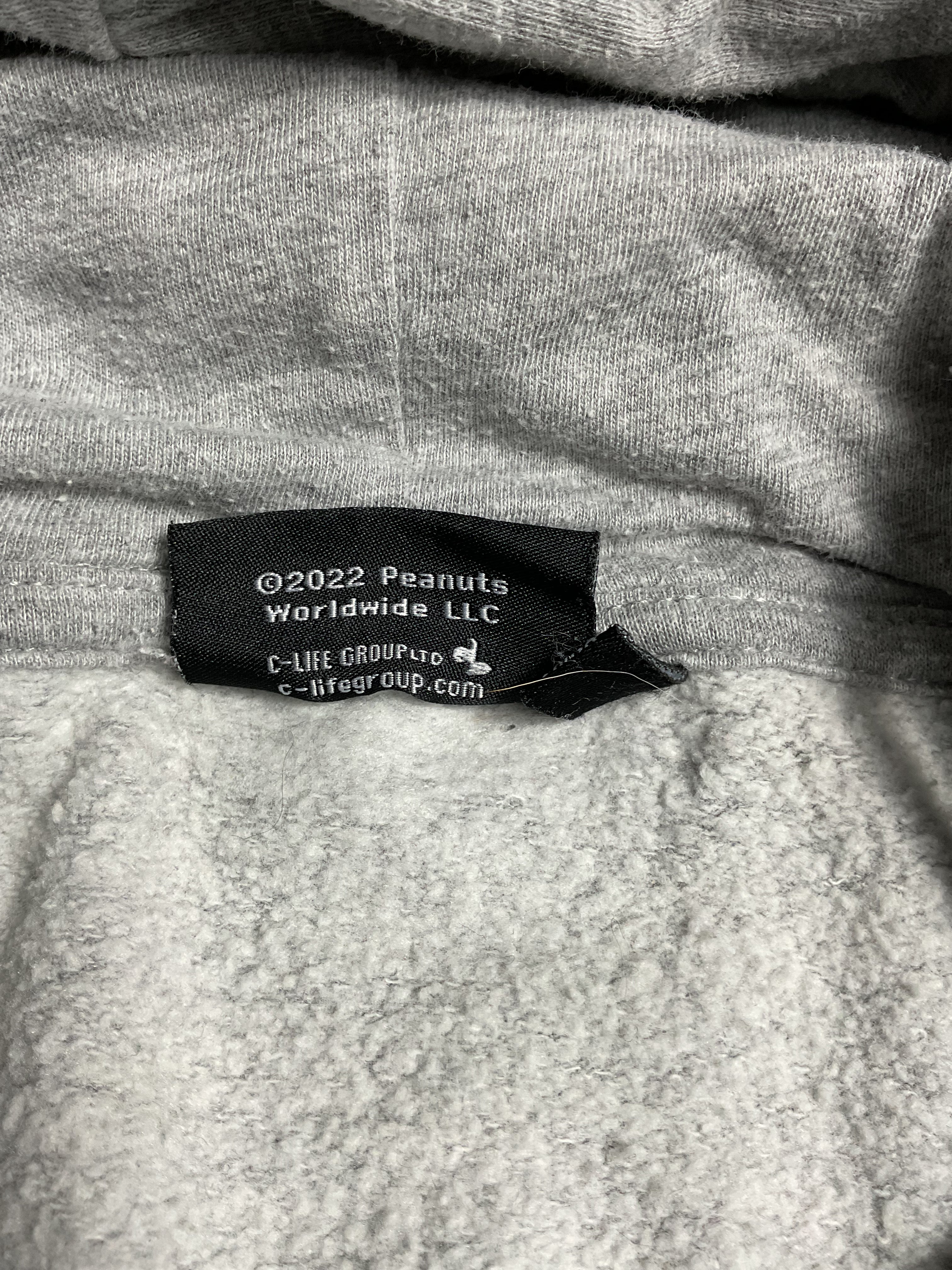 Peanuts Gang Hoodie Gray Small Charlie Brown Snoopy