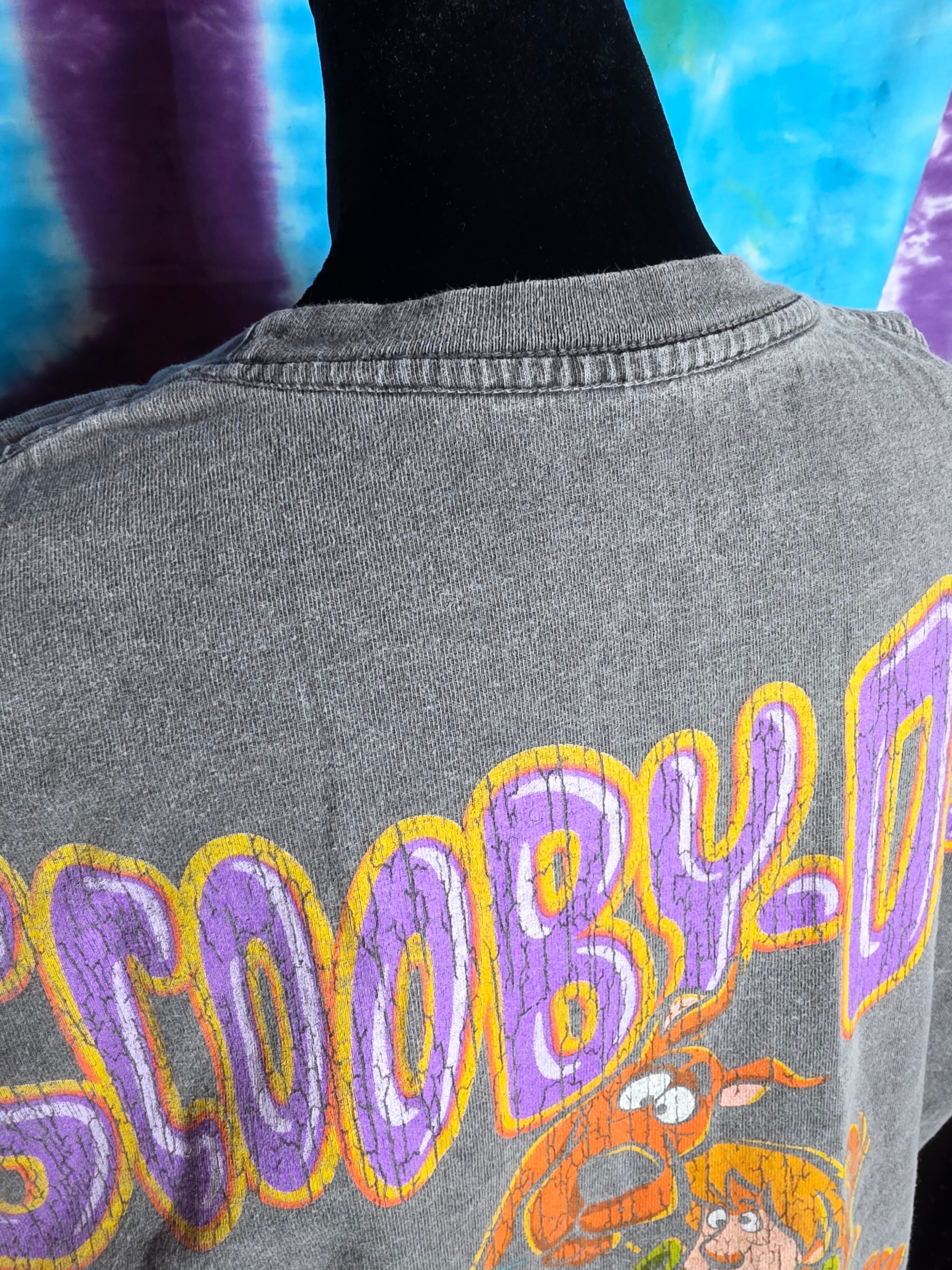 Scooby-Doo Phantom Shadow Lost Enterprises Graphic Tee Small Gray
