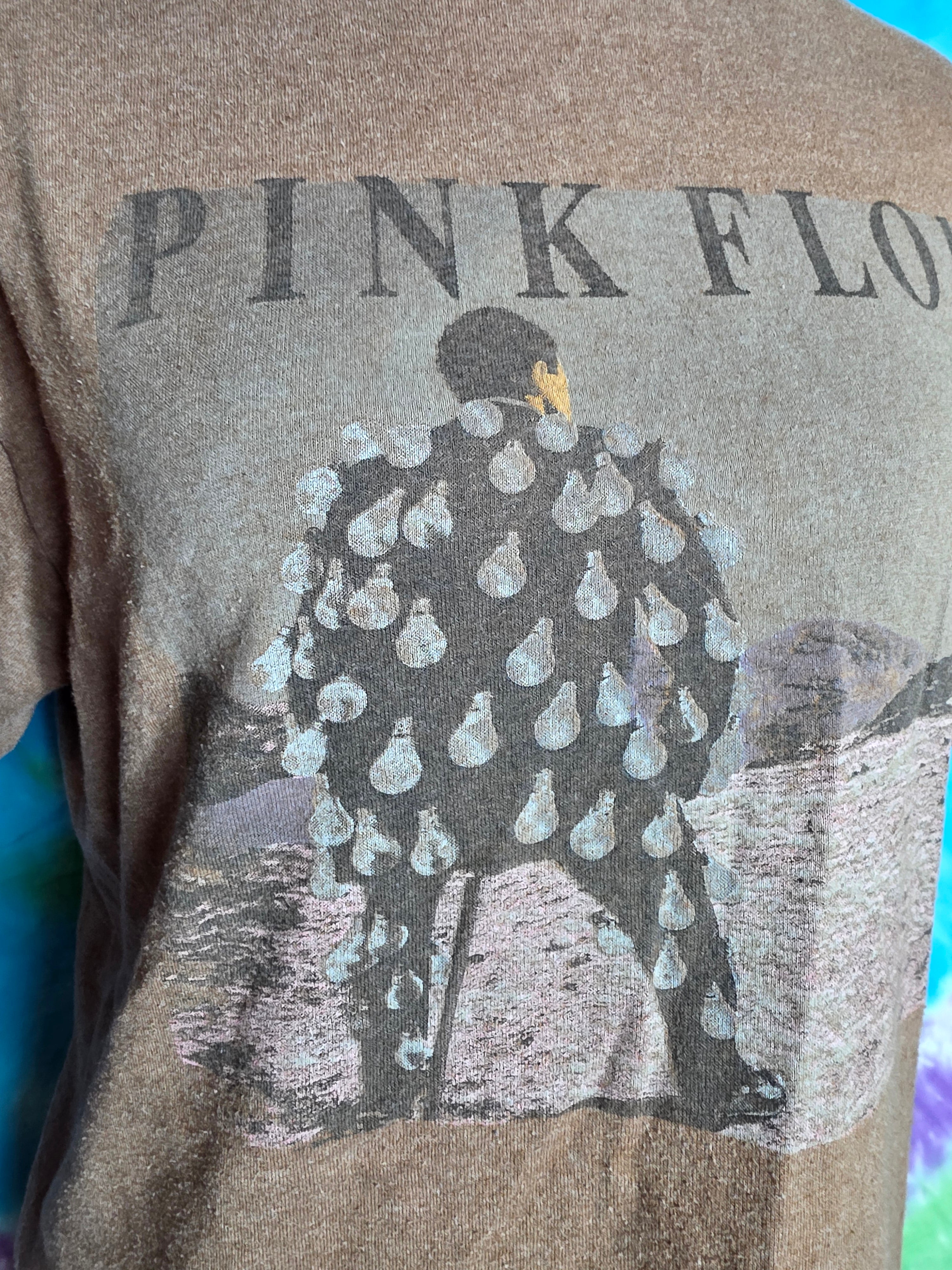 Pink Floyd Delicate Sound of Thunder Graphic Tee Brown M