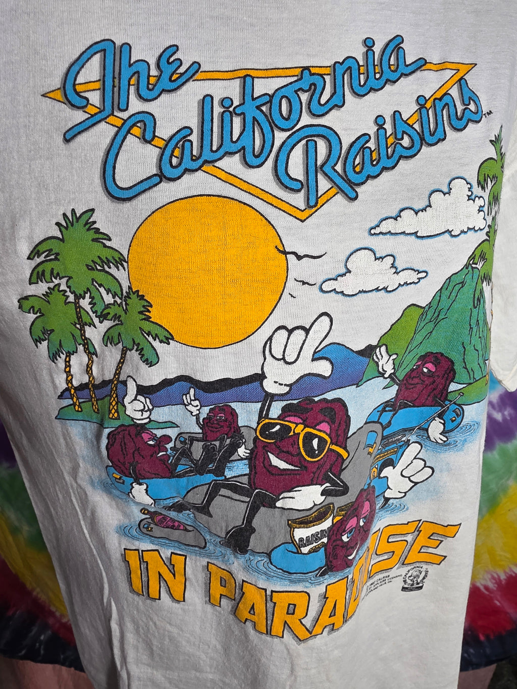 Vintage 1987 California Raisins In Paradise Shirt L Single Stitch