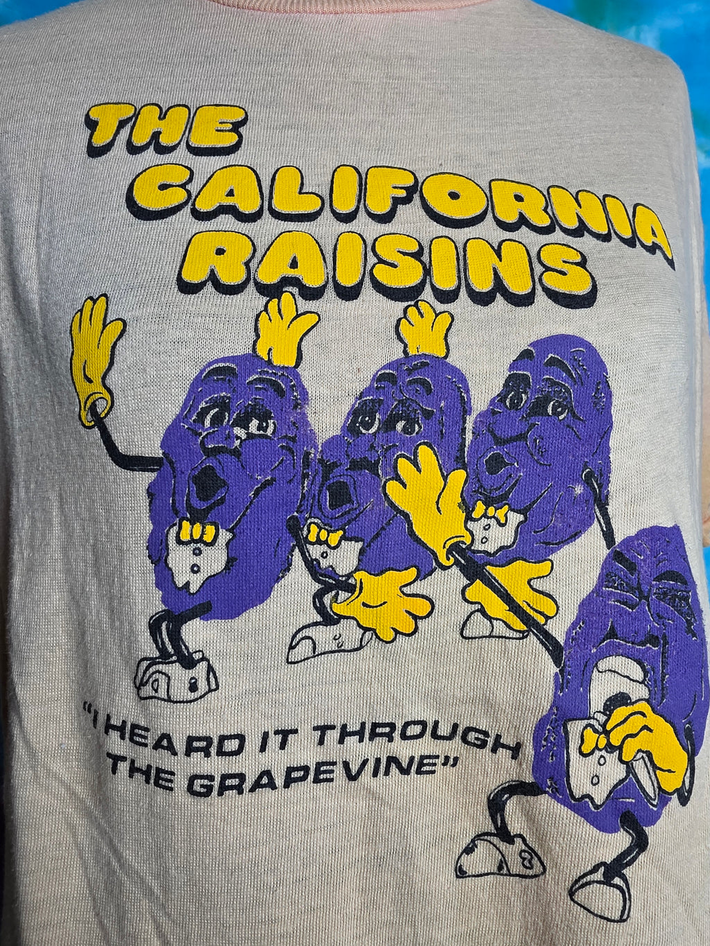 Vintage 80s California Raisins Grapevine Tee Single Stitch XL