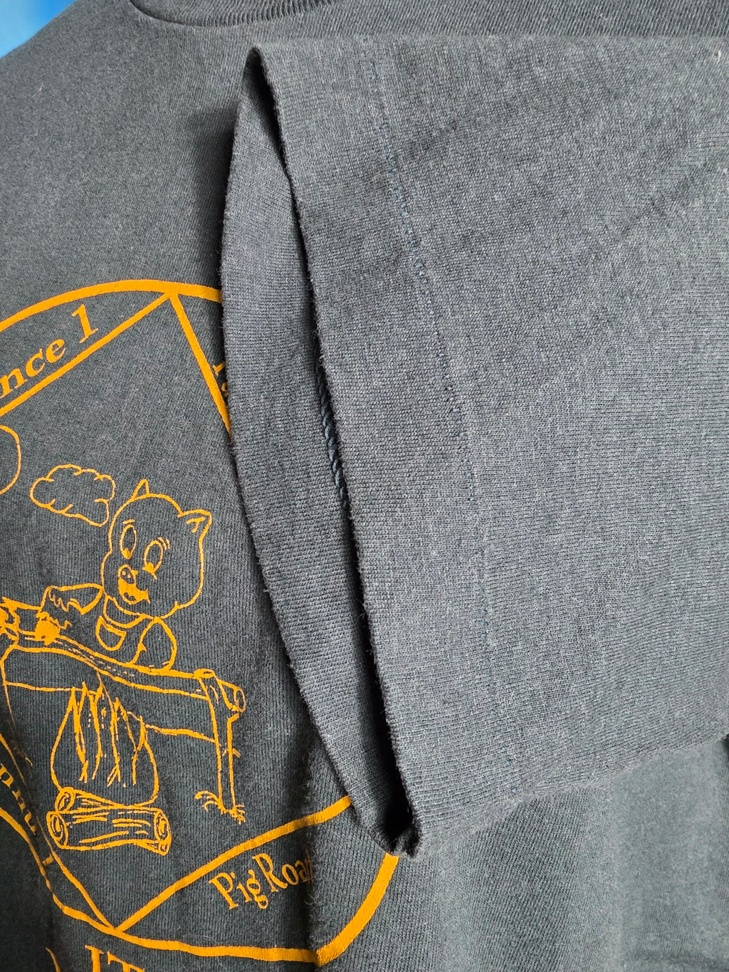 Vintage 90s Narcotics Anonymous Pig Roast Single Stitch Tee