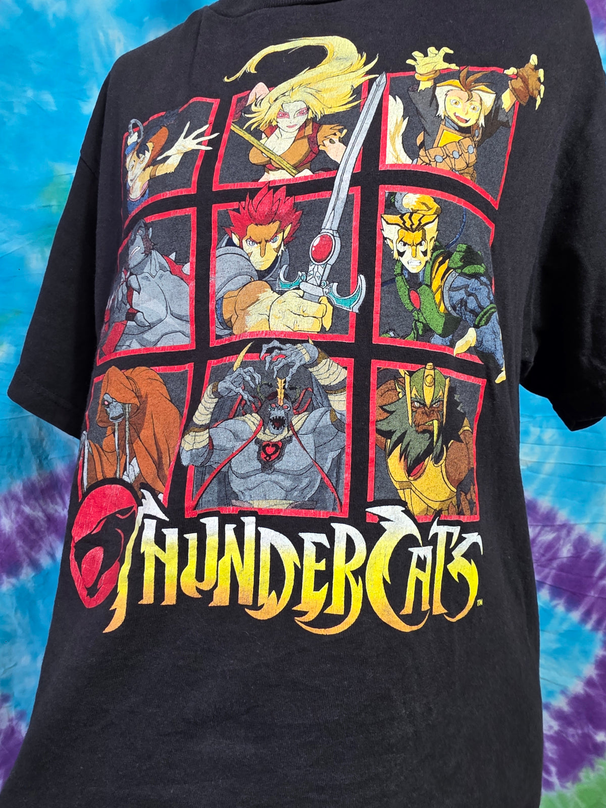 ThunderCats 2011 Anime Grid T-Shirt Black Youth XL