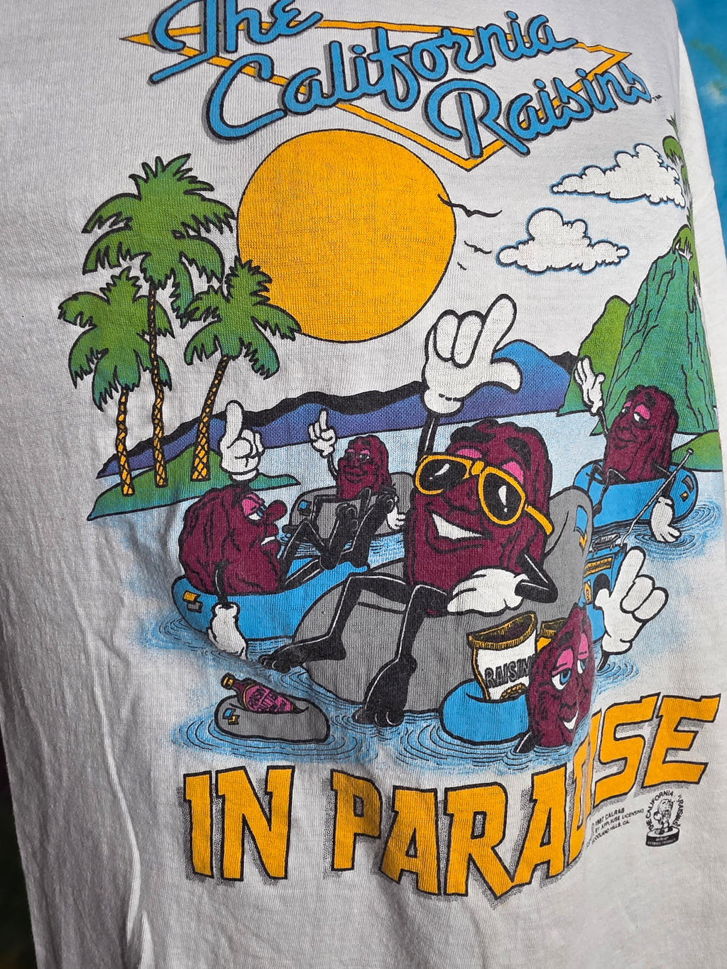 Vintage 1987 California Raisins In Paradise Shirt L Single Stitch
