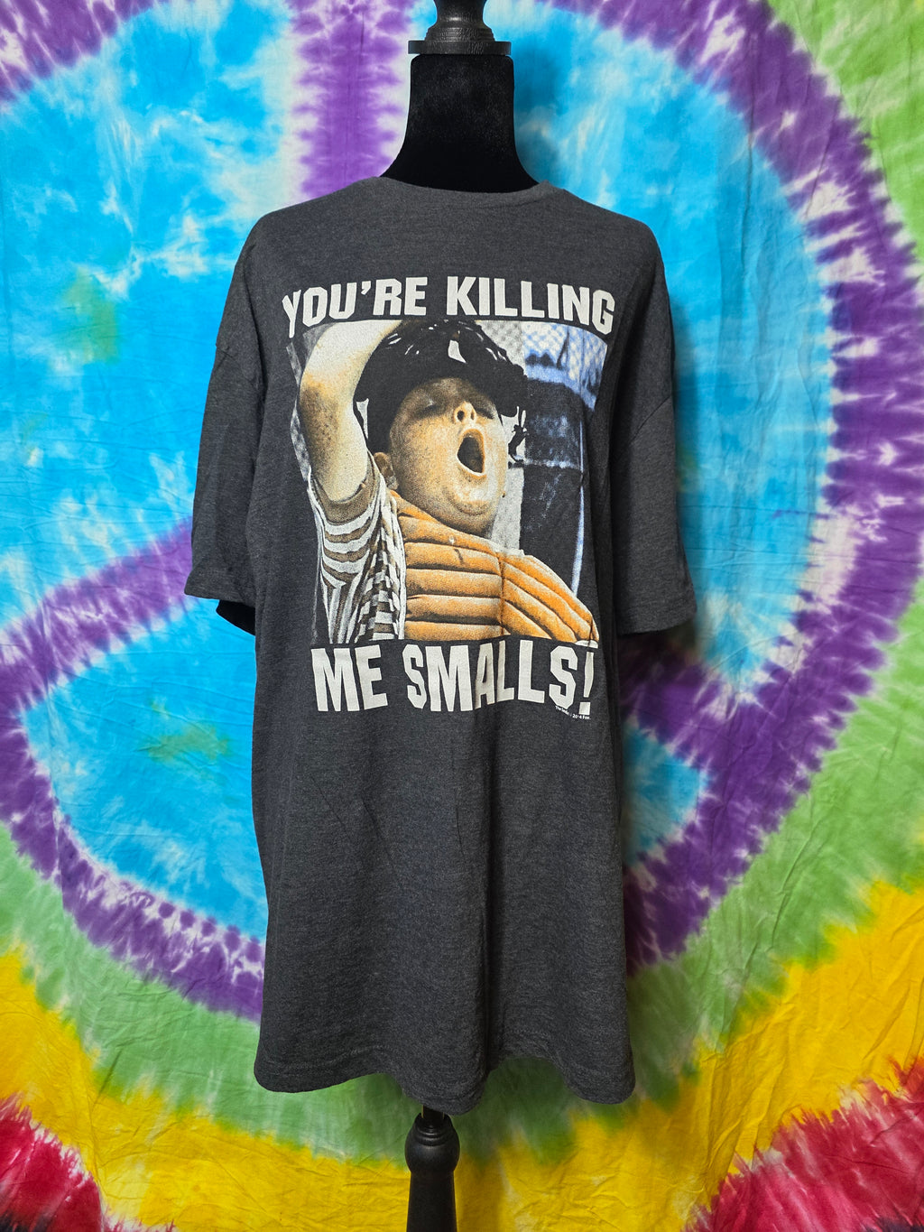 Vintage 2014 The Sandlot You're Killing Me Smalls Tee XL